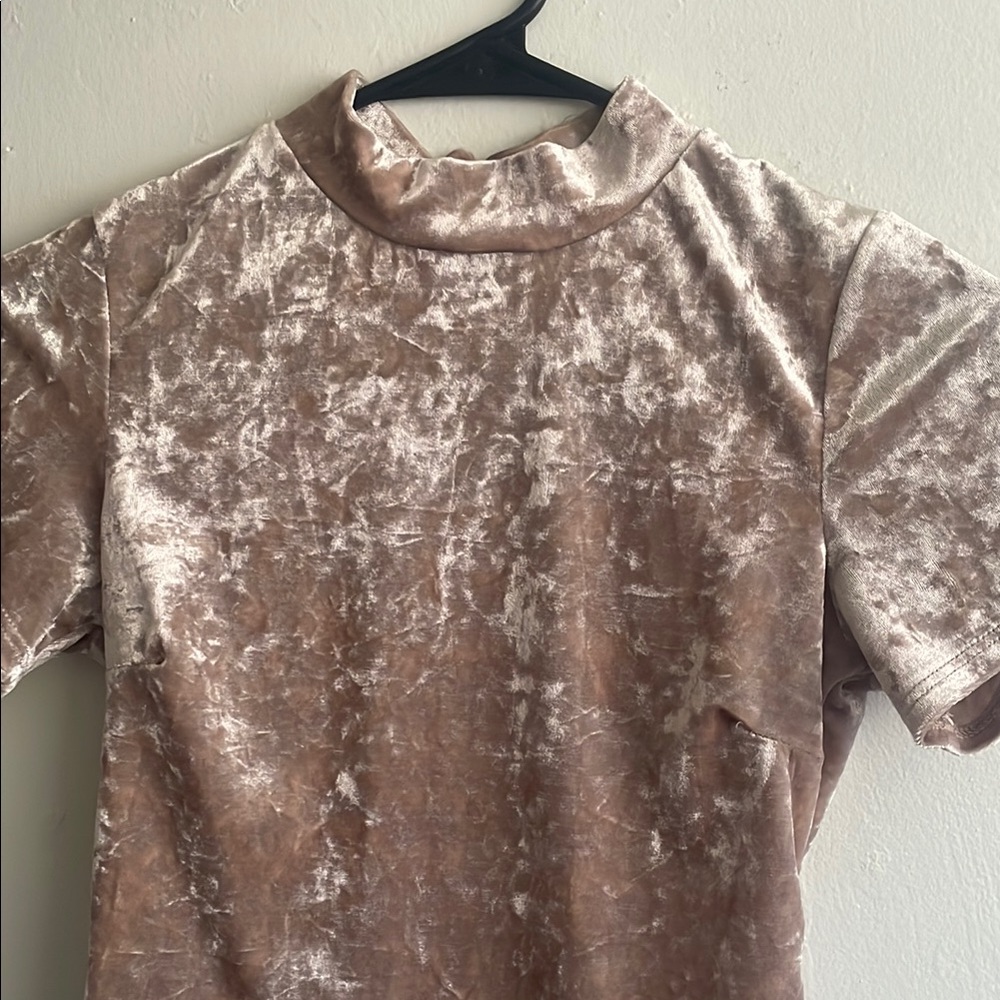 Velvet Mock Neck Top in Beige